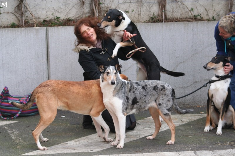 Photo de famille... et un gros calin d'Indigo !