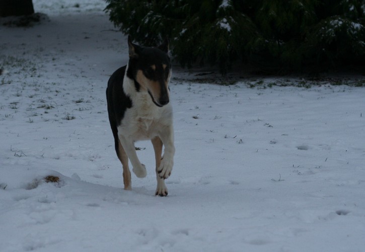 Hiver 2012