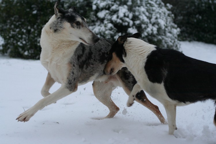 Hiver 2012