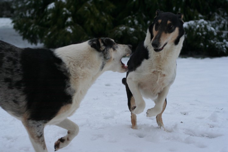 Hiver 2012