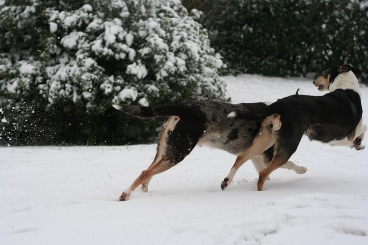 Hiver 2012