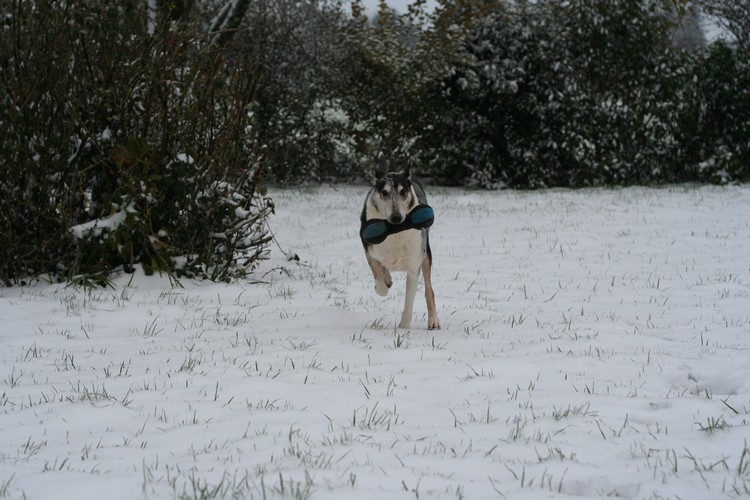 Hiver 2012