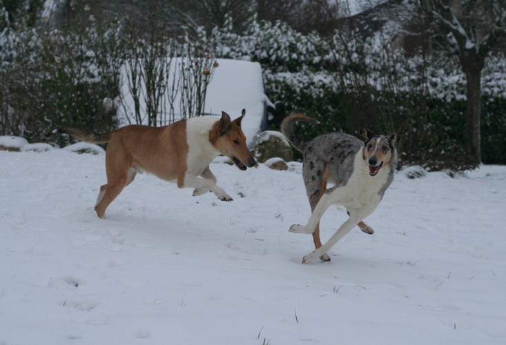 Hiver 2012