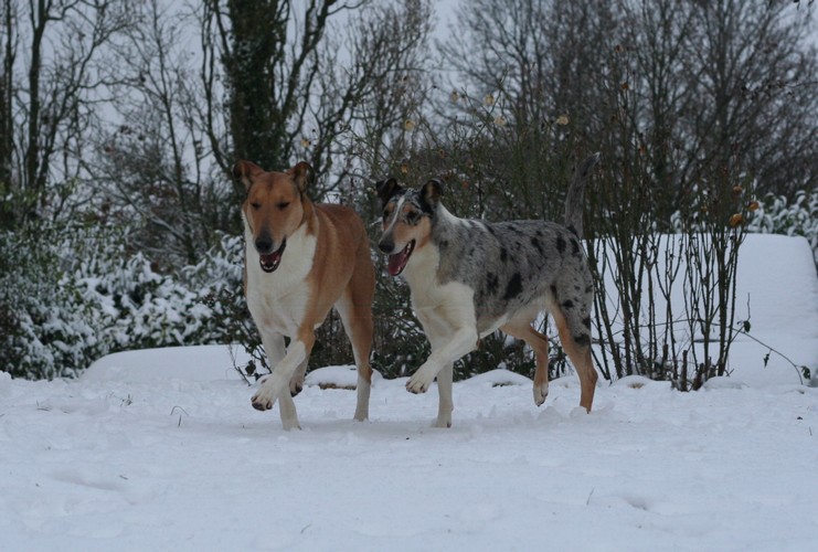Hiver 2012