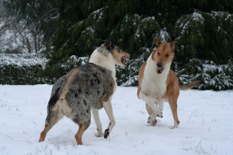 Hiver 2012