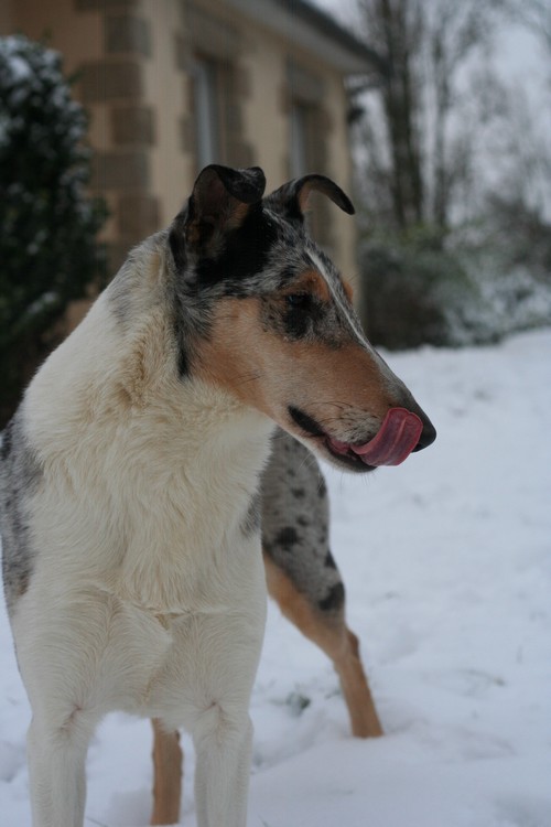 Hiver 2012