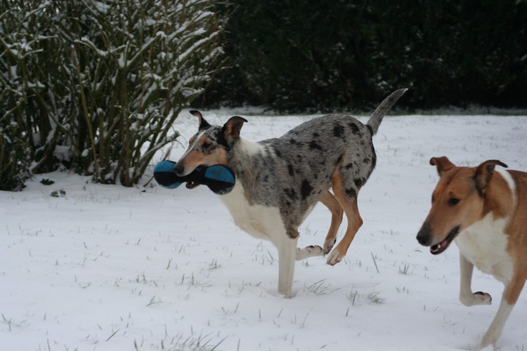 Hiver 2012