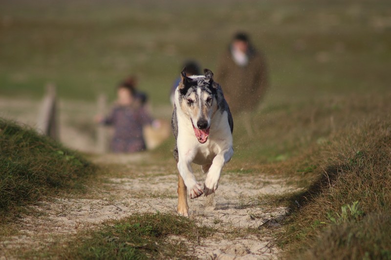 s231215_trez_0098