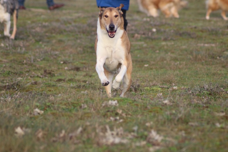 s231215_trez_0110
