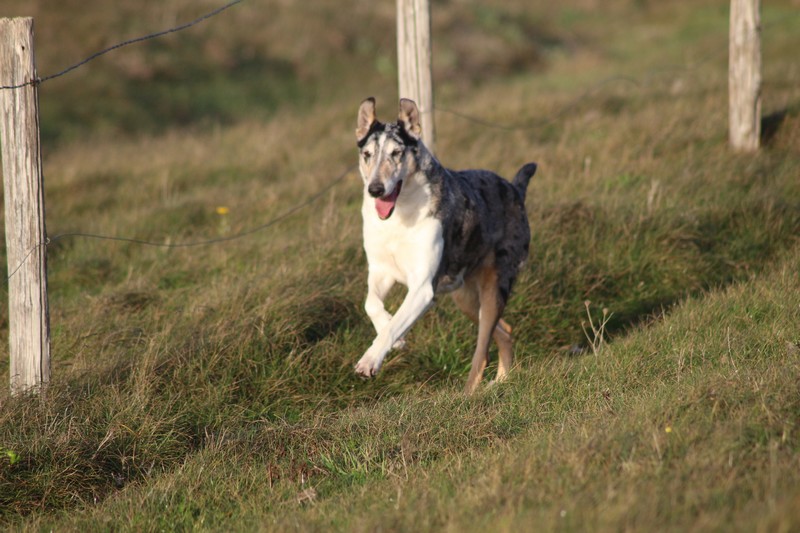 s231215_trez_0192
