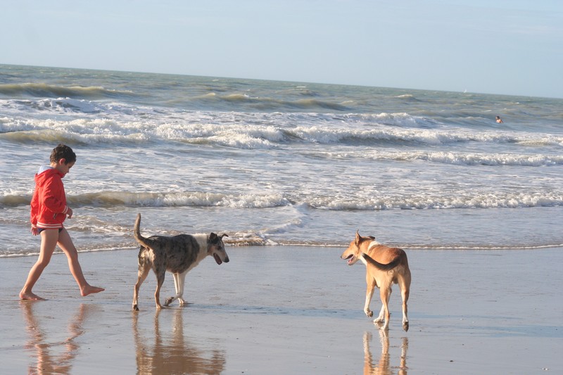 vacances_octobre_2014