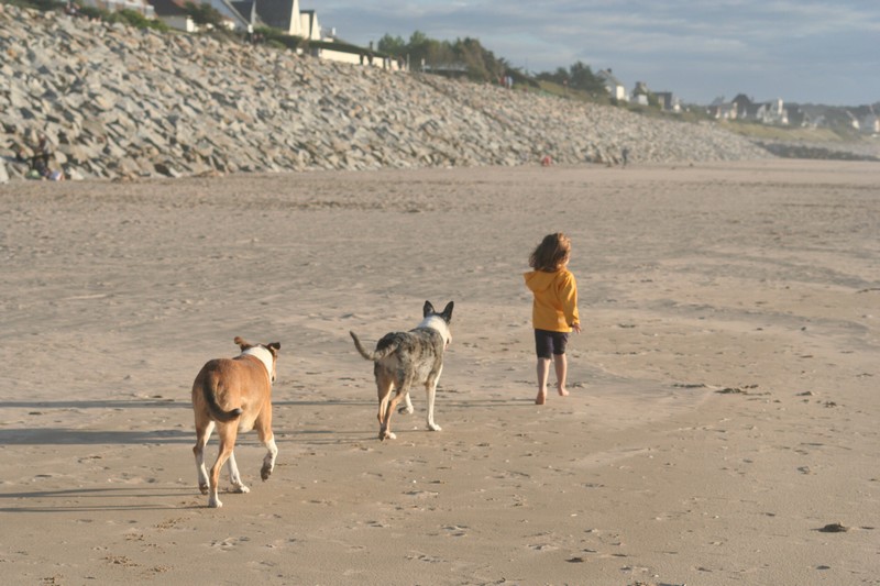 vacances_octobre_2014